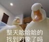 萌宠 鸭子 整天哈哈哈 找到对象了吗 搞怪 逗