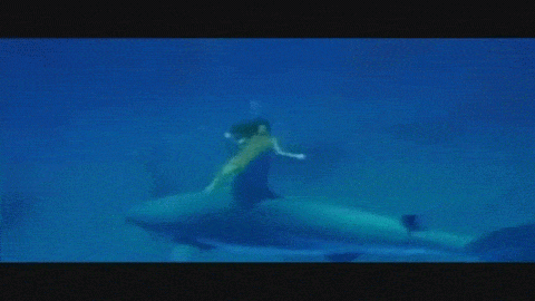 女士 从 鲨鱼 海豚 节省