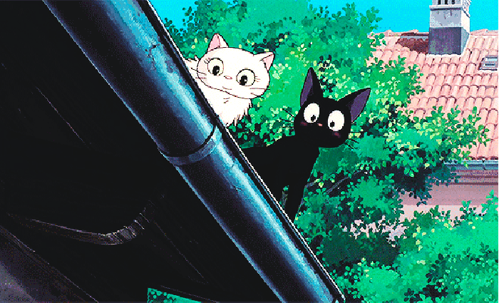 吉卜力 小院子 黑猫  猫咪