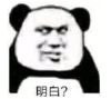 暴漫 文字表情包 明白 搞笑 逗 沙雕