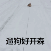遛狗