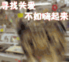 关爱