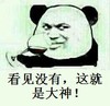 大神 斗图 搞笑 猥琐