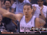 nba篮球 乔约翰逊等 2000年代 运动