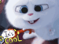 cool soogif 萌宠大作战 很酷 it‘s soogif出品