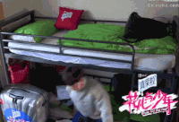 花儿与少年 杨洋 撞头 疼