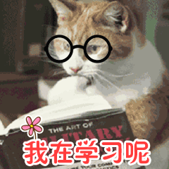 我在学习呢 猫咪 翻书 可爱 知识
