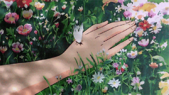 手掌 蝴蝶 鲜花 绿叶