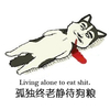孤独终老静待狗粮 吐血 搞笑 可笑