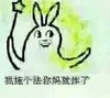 金馆长 兔子 搞笑 我施个法你妈就炸了
