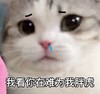 萌宠 猫星人 我看你是在为难我胖虎 委屈 想哭 难受