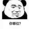 斗图 熊猫头 你哪位 搞怪 逗