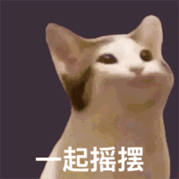 萌宠 猫星人 popo 一起摇摆 搞怪 逗