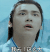 我去 这么大 李易峰 soogif soogif出品