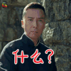 功守道 甄子丹 什么 蒙圈 soogif soogif出品