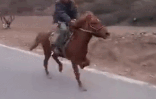 骑马 奔跑 速度 大路