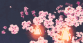 灯光 花 花瓣飘落 美景