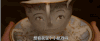 美女与野兽