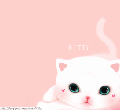 猫咪 可爱 呆萌 Kitty 粉色