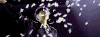 朴灿烈 帅气 明星 韩国