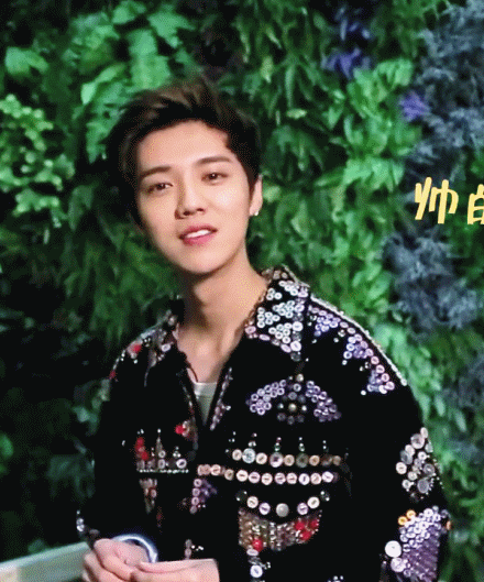 鹿晗 男神 小鲜肉 时尚 帅气