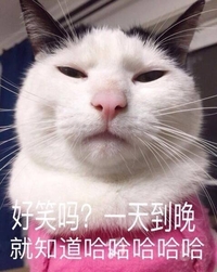 好笑吗 猫咪 粉衣服 可爱