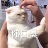 萌宠 猫星人 你口臭 走开 搞怪 逗