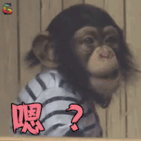 萌宠 猩猩 嗯 蒙圈 soogif soogif出品
