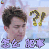 极限挑战 黄磊 怎么肥事 蒙圈 soogif soogif出品