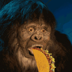 大猩猩 吃 动物 墨西哥煎玉米卷