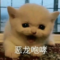 萌宠 猫星人 恶龙咆哮 生气 呆萌 可爱