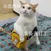 萌宠 猫星人 准备去打工 斗志昂扬 呆萌 可爱