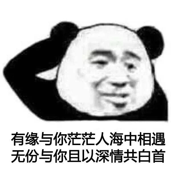 暴漫 熊猫头 有缘与你茫茫人海中相遇 无份与你深情共白首 搞怪 逗