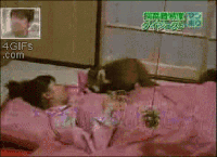 可爱 讨厌 呆萌 滑稽