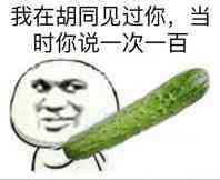 我在胡同见过你 当时你说一次一百 金馆长 黄瓜