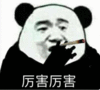 斗图 熊猫人 厉害