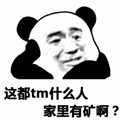 矿 熊猫头