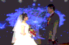 新娘新郎 结婚 幸福 祝福 新婚快乐