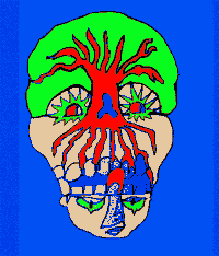 动漫 动画 变换