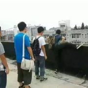 丧 丧逼 丧逼表情包