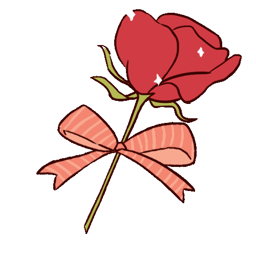 鲜花 漂亮 红色 玫瑰