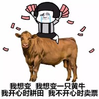 金馆长 蘑菇头 黄牛 我不开心时卖票