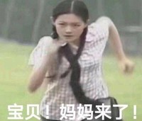 迷妹 沙雕 搞笑 追星 文字表情包