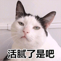 萌宠 猫咪 猫 活腻了是吧 生气