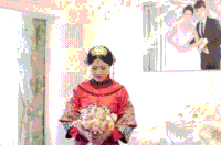 新娘新郎 结婚 幸福 祝福 新婚快乐