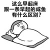 金馆长 睡觉 这么早起床跟一条早起的咸鱼有什么区别 赖床