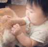 萌娃 可爱 狗狗 咬