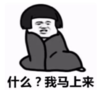 暴漫 文字表情包 什么 我马上来 搞笑 沙雕 魔性