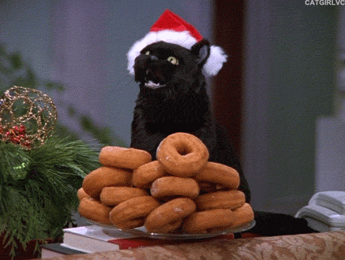 圣诞 节日  猫 甜甜圈