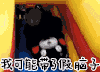 熊本熊 翻滚 搞笑 我可能带了假脑子